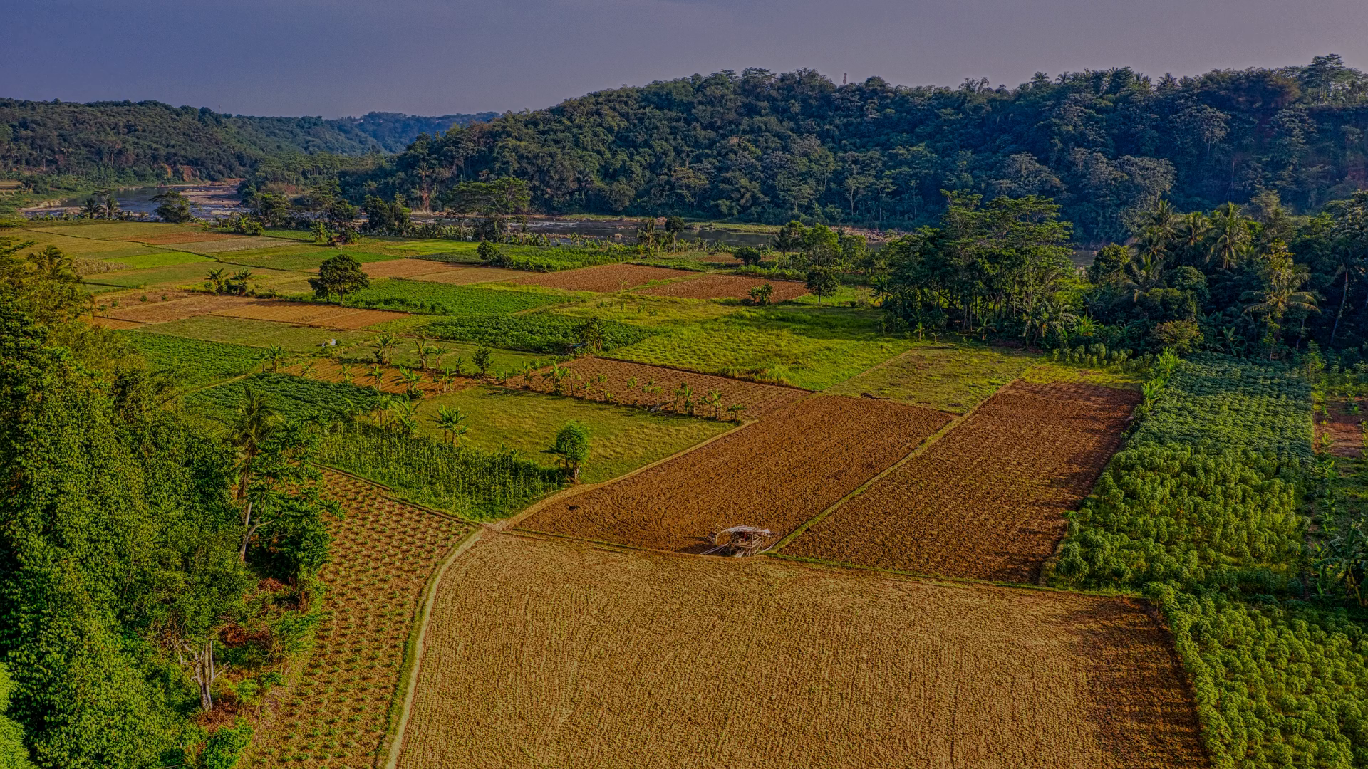 Example of Animation Posters